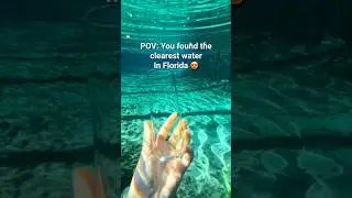 📍Ginnie Springs, Florida #floridasprings #floridavacation #florida #floridatravel
