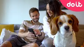 DoiT and Pet Circle: Revolutionizing the pet supplies sector through technology