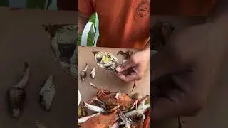 How To Pick a Crab, MARYLAND STYLE! 🦀