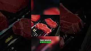 🍖 Sync Wireless Bluetooth Smart Meat Thermometer Review 🔥 Perfect BBQ & Grilling Accuracy!