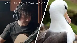 Saunders Island Suite - III. Albatross Nest (Uros Baric)