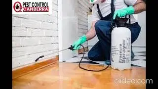 Pest Control Oxley | Pest Control in Oxley | Oxley Pest Control | Commercial Pest Control Oxley
