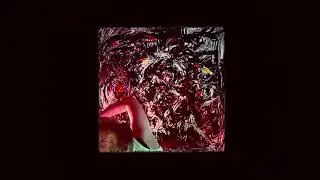 PROKOP - Op Shop (Official Video)