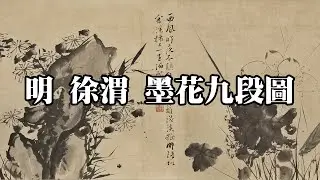 明 徐渭 墨花九段圖 - 筆觸狂放，墨色淋漓，徐文長水墨大寫意代表作