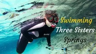 Snorkeling at Three Sisters Springs