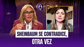 Sheinbaum MANIPULA la narrativa del caso Ryan Wedding | MLDA