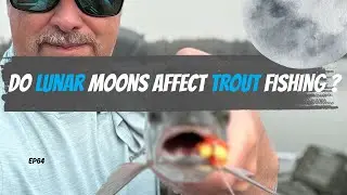 Do Moon Phases Affect Trout? Fly Fishing the Lunar Cycle Explained