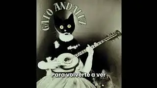 Gato Andaluz - Piroman&iacute;a