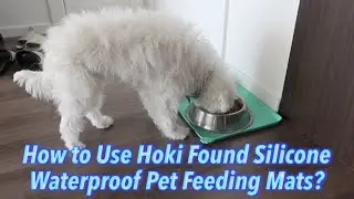 How to Use Hoki Found Silicone Waterproof Pet Feeding Mats?