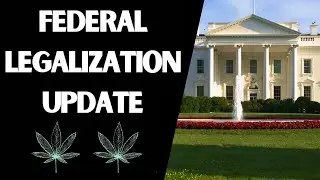 Federal Legalization Update 6/21