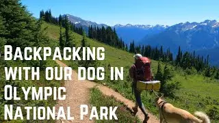 Hiking the Seven Lakes Basin Loop in Olympic National Park [4k]