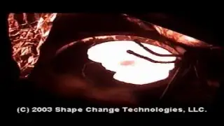 Self Propagating High Temperature Synthesis of a 6