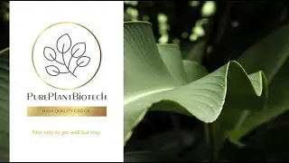 HIGH QUALITY CBD OIL - PurePlantBiotech