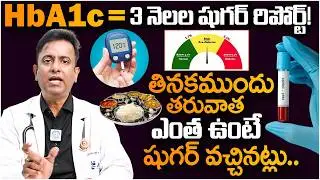 HbA1c = 3 నెలల షుగర్ రిపోర్ట్! | What is HbA1c Test I Normal Range of HbA1c Test | Diabetes | iDream