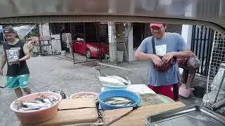 Tara tinda ulit tau(Don Sam TV) (episode 18) rolling fish vendor;