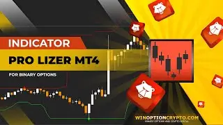 Indicator for binary options Pro Lizer MT4