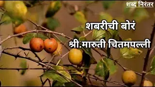 शबरीची बोरं, लेखक : श्री. मारुती चितमपल्ली