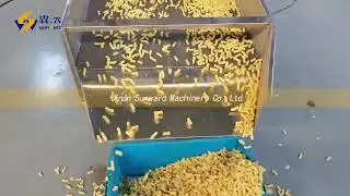 Pasta machine macaroni processing line Italy food line 意面设备