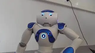 Nono-robotin haastattelu