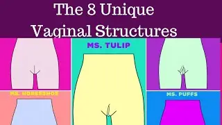 The Vaginal looks & Feels out there