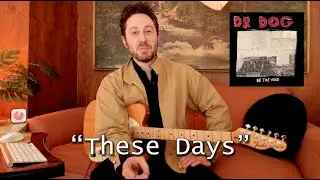 Dr. Dog 