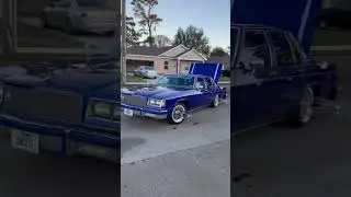 HOUSTON TX. SLAB. MLK WEEKEND 2026.  BLUE LINE WAS DEEP. HOMESTEAD ROAD.