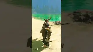 Delayed Hit? (The Legend of Zelda: Breath of the Wild)