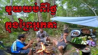 Set up a tent in the forest for a night after a day of searching for food in the forest.