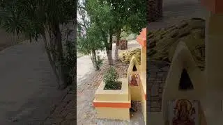 village life#nature #nature lover#desilifestyle 🌳🌳🌲🌲🪴🌴