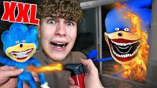 НИКОГДА НЕ УНИЧТОЖАЙ ВУДУ-КУКОЛ SHIN SONIC В 3 ЧАСА НОЧИ!!