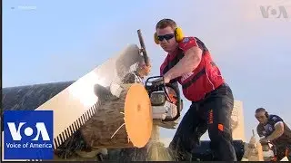 Canada's Stirling Hart wins the world&rsquo;s toughest logger sports competition