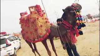 Beauty of sangam // vlog video // #sangam #ganga # INDIA #sourabh // VLOG WITH ASHU #mhacommunity 