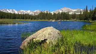 4k | 3 Hours of Birdsong & Mountain Wind | Remote Alpine Lake Ambience | Moss Hollow