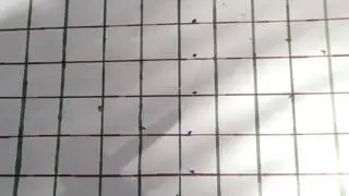 Start up Pick-3 grid chart