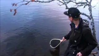 Storørret-fiske i Gjersvika