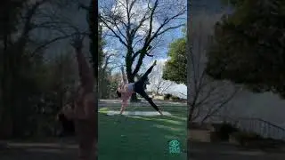 Ladder Flow | Level 2-3