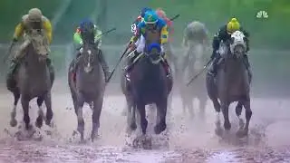 Racehorse PHAROAH Vid Legend