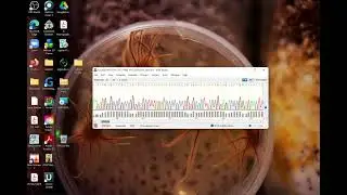 Analyzing a trace file using Snapgene viewer