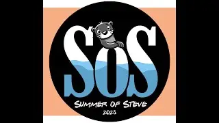 Summer of Steve E1: Origins Story