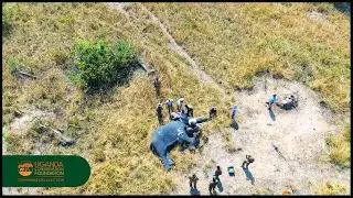 The Joint Operations Command Center at Murchison Falls National Park