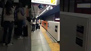 Tokyo Subway Station Safety Door