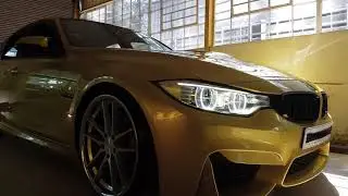 STANCE x VERTINI