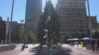 It's Beginning To Look A Lot Like Xmas In Sundance Square