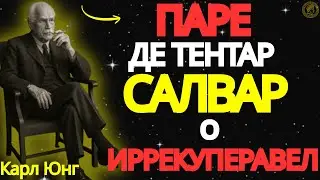 Перестаньте пытаться спасти невосполнимое &mdash; Карл Юнг