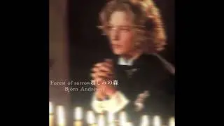 Forest of sorrow (哀しみの森) by Bj&ouml;rn Andr&eacute;sen (mini duet by Tormentturrent) :)
