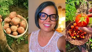 14 COISAS QUE NÃO COMPRO POR VIVER NO CAMPO!