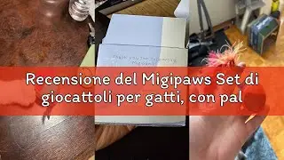 Recensione del Migipaws Set di giocattoli per gatti, con palline che si muovono automaticamente, top