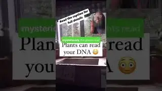 🧬 The Truth About Seeds Reading Your DNA: Not Magic, Just Science!