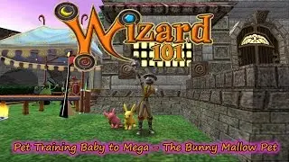 Wizard101 Pet Training Baby to Mega The Bunny Mallow Spring Update