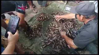 Berbelanja di pasar minggu #indonesia#fypシ゚viral  #youtube 